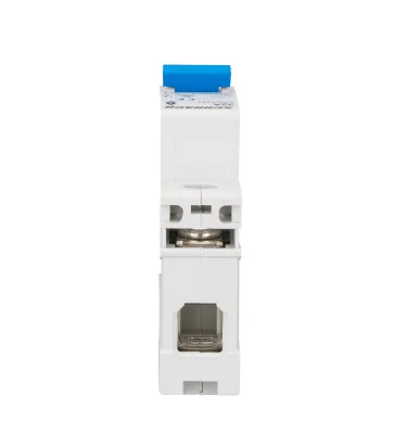 Load Switch 32A/1