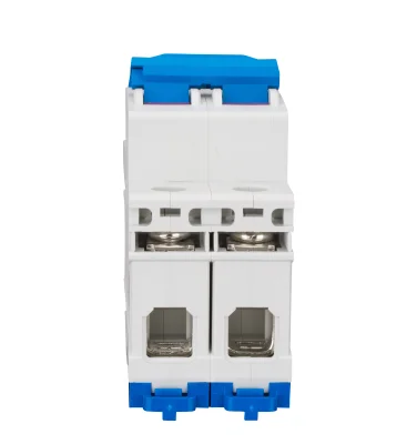 Load Disconnector 63A/2